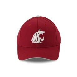 Outerstuff Kids' (Youth) Washington State Cougars Structured Adjustable Cap (K848D9335)