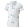 Puma - Girls' (Junior) Mattr Lowlands Polo (537262 02)