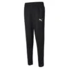 Puma - Men's Active Tricot Pant (586731 01)