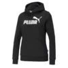 Puma - Women's Essentials Logo Hoodie (586788 01)